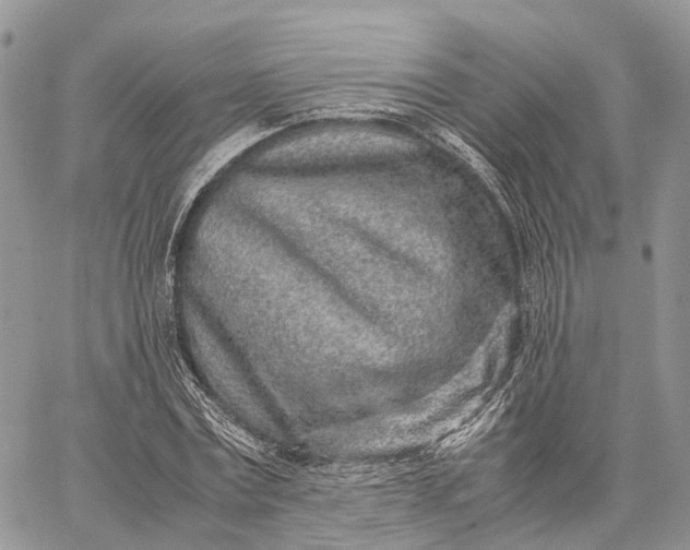 X0000062670779200601041008