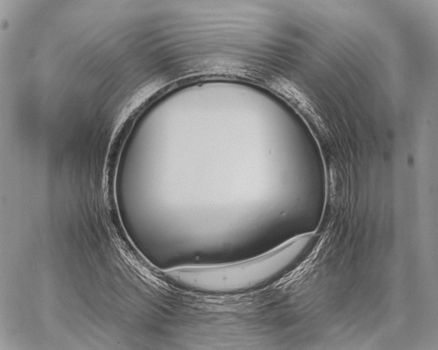 X0000062670780200601041008