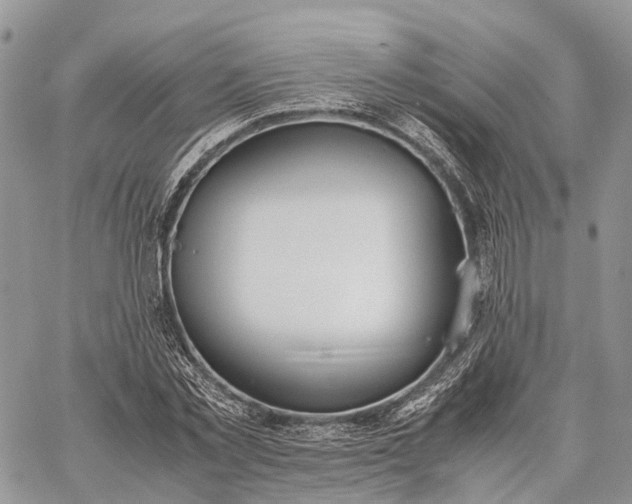 X0000062670781200601041008