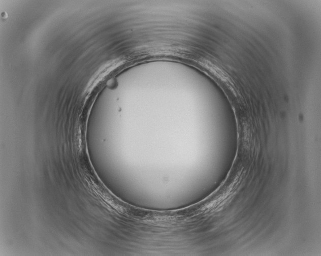 X0000062670782200601041008