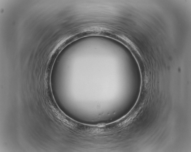 X0000062670783200601041008