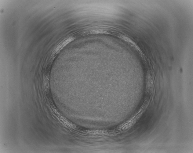 X0000062670785200601041008