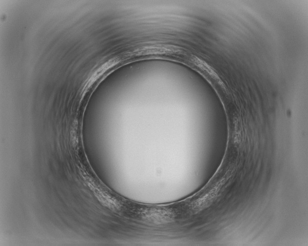 X0000062670786200601041008