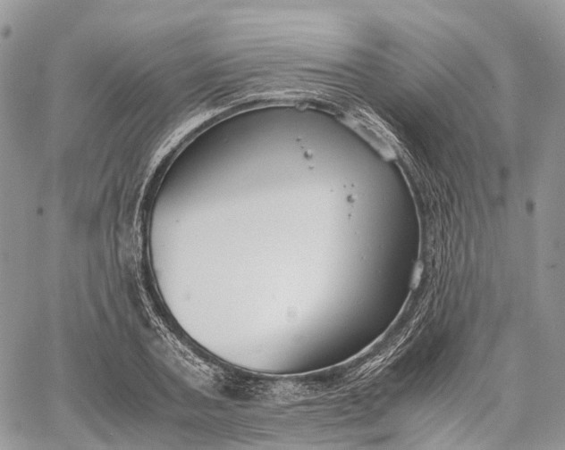 X0000062670787200601041008