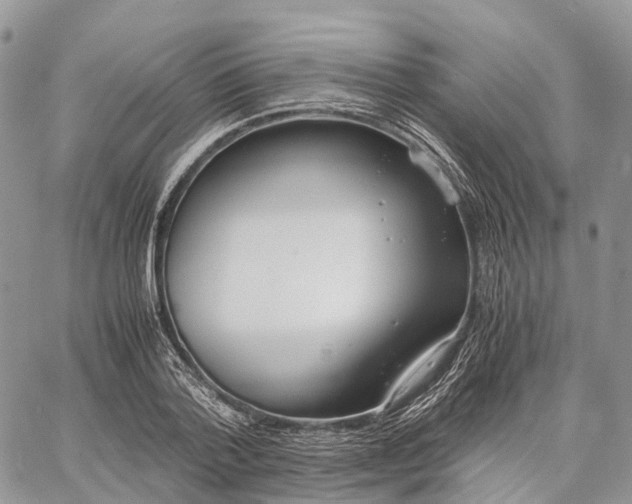 X0000062670788200601041008