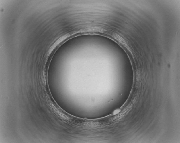 X0000062670789200601041008