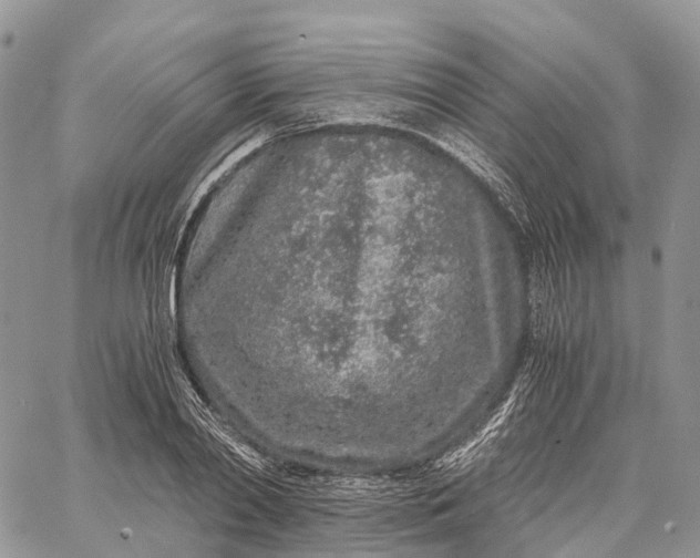 X0000062670790200601041008