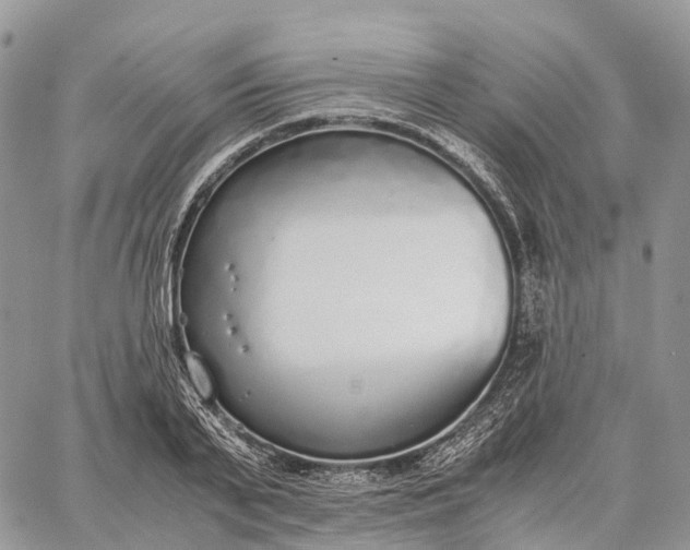 X0000062670791200601041008