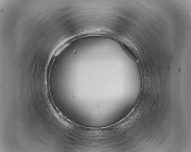 X0000062670792200601041008