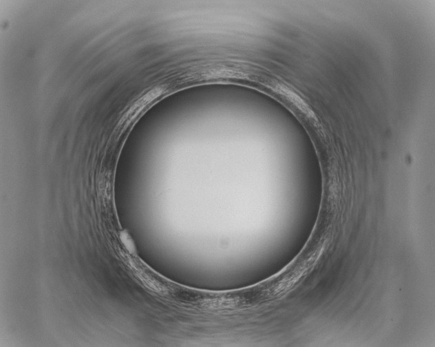 X0000062670793200601041008