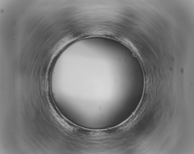 X0000062670795200601041008