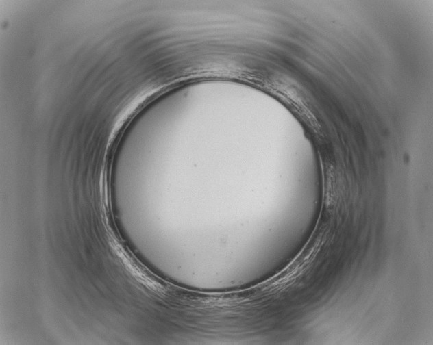 X0000062670796200601041008