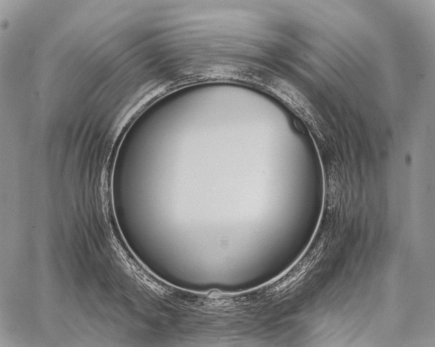 X0000062670798200601041008