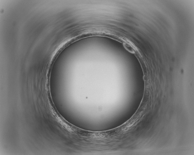 X0000062670799200601041008