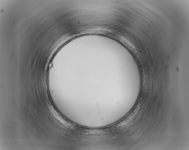 X0000062670800200601041008