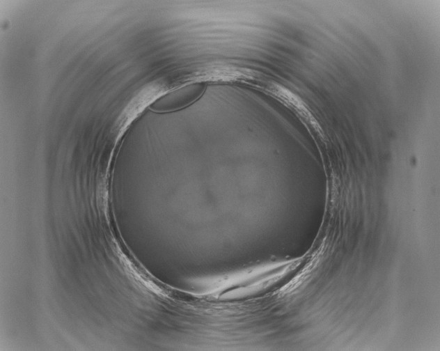 X0000062670802200601041008