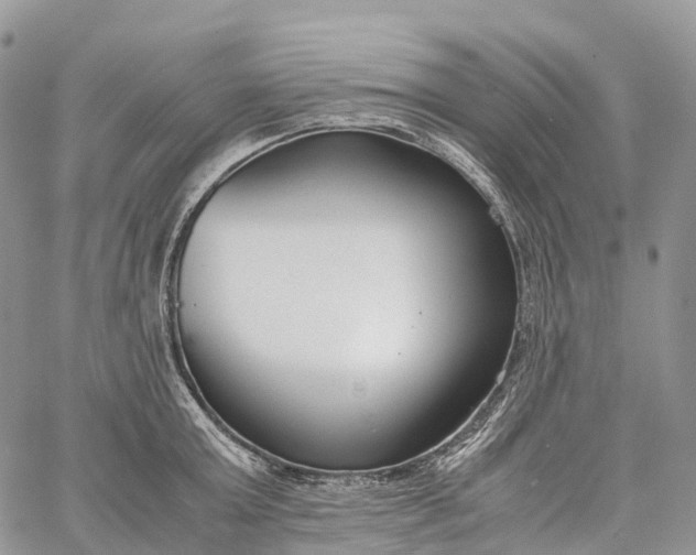 X0000062670803200601041008