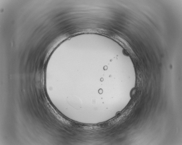 X0000062670804200601041008