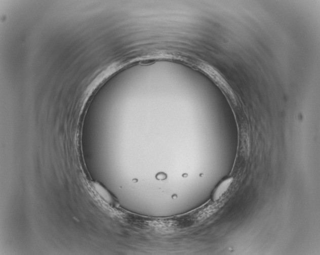 X0000062670805200601041008