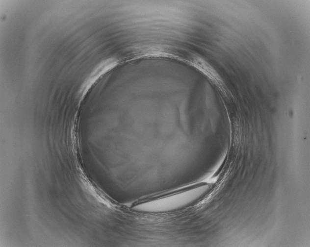 X0000062670806200601041008