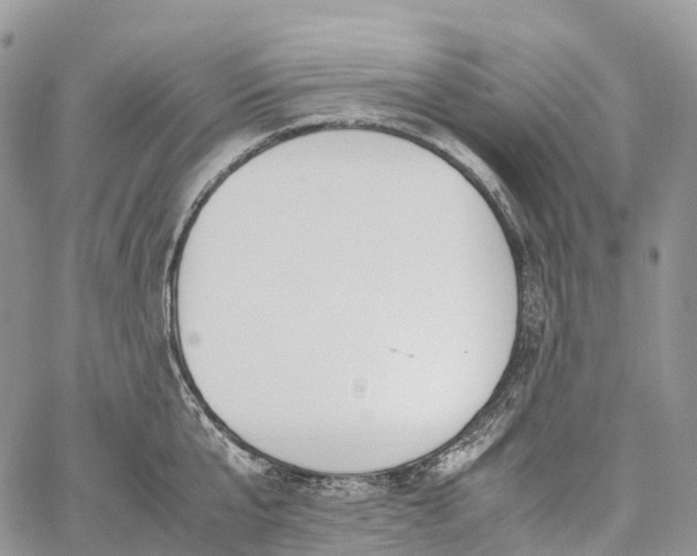 X0000062670807200601041008