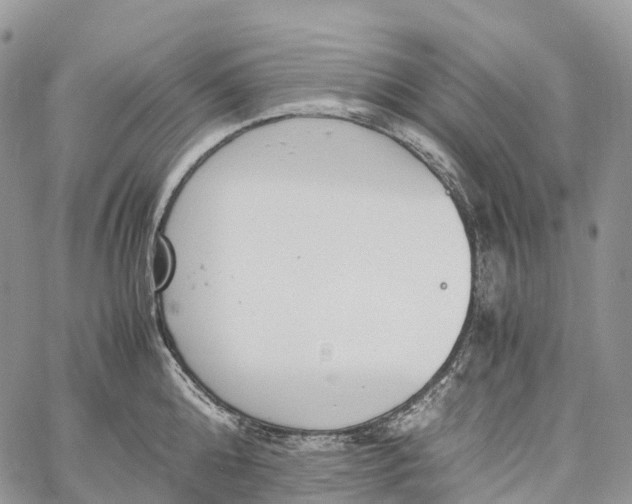 X0000062670808200601041008