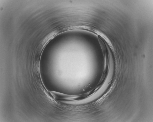 X0000062670809200601041008