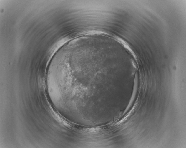 X0000062670810200601041008