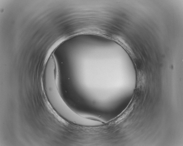 X0000062670812200601041008