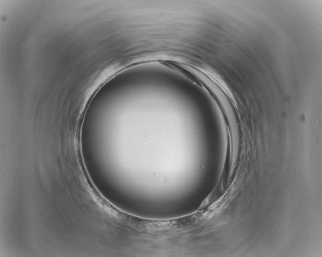 X0000062670813200601041008