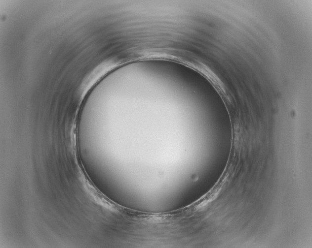 X0000062670814200601041008