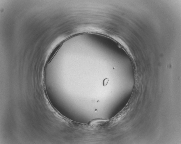 X0000062670815200601041008