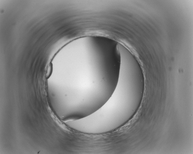 X0000062670816200601041008