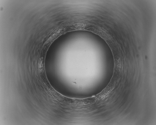 X0000062670818200601041007