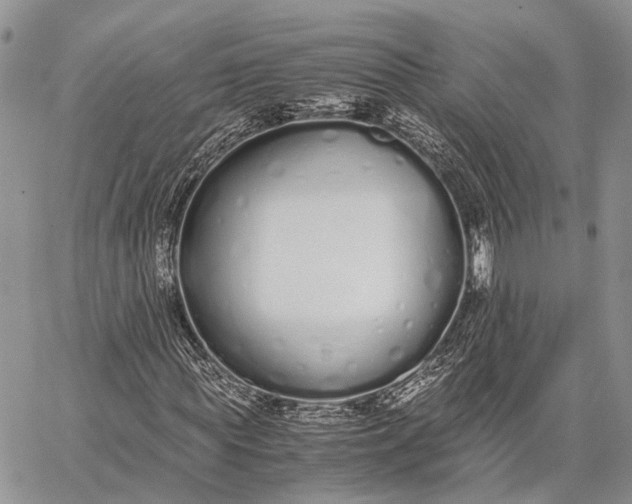 X0000062670819200601041007