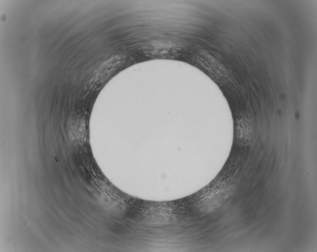 X0000062670820200601041007