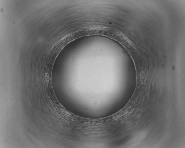 X0000062670821200601041007