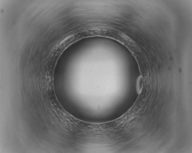 X0000062670822200601041007