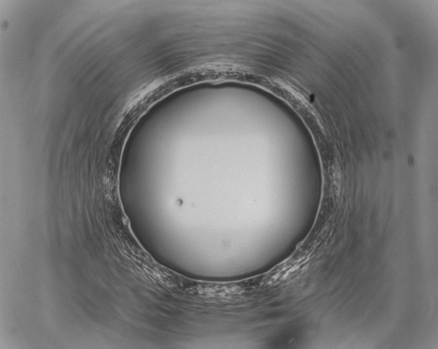 X0000062670823200601041007