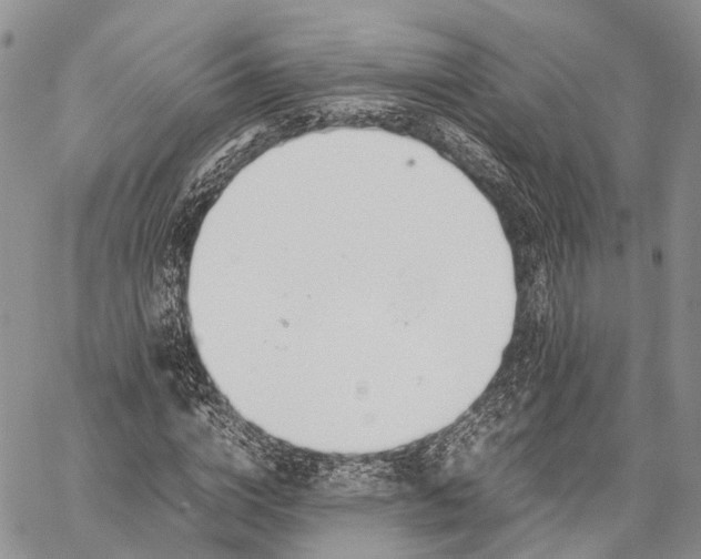 X0000062670824200601041007