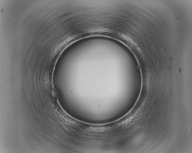 X0000062670825200601041007