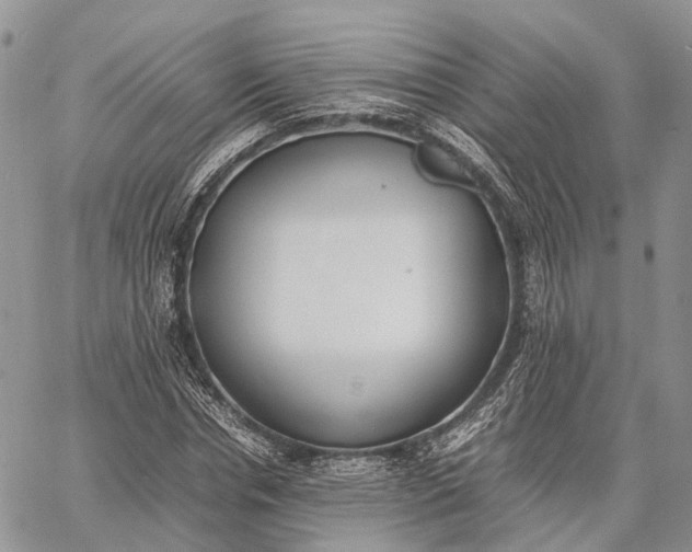 X0000062670826200601041007