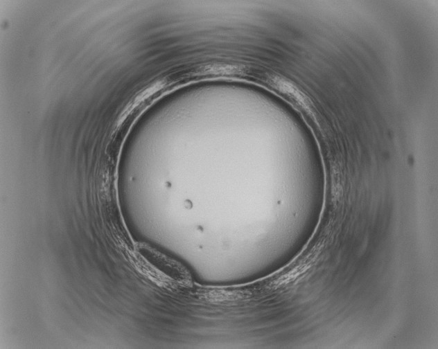 X0000062670827200601041007