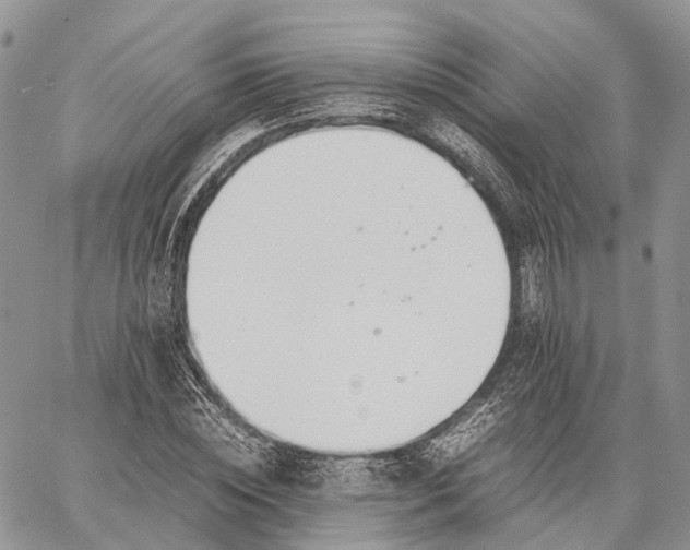 X0000062670828200601041007