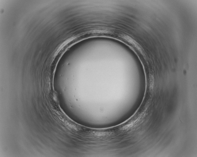 X0000062670829200601041007