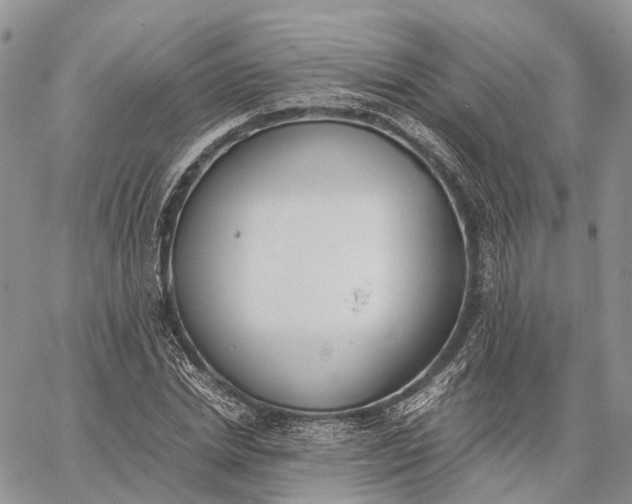 X0000062670830200601041007