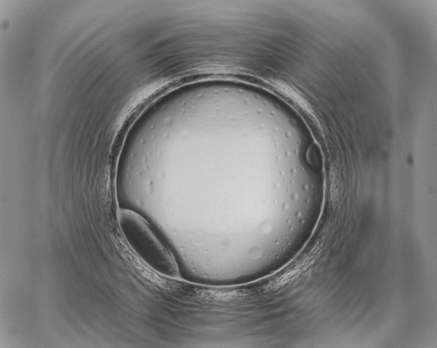 X0000062670831200601041007