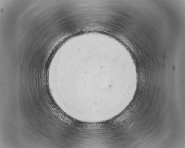 X0000062670832200601041007