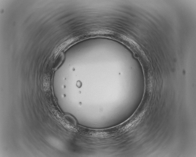 X0000062670833200601041007