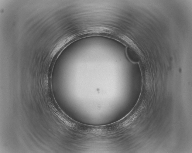 X0000062670834200601041007